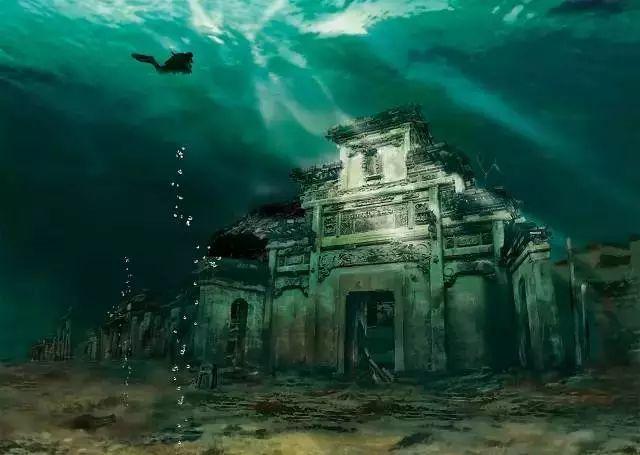 水瓶树生长在水里还是土里？游戏画面