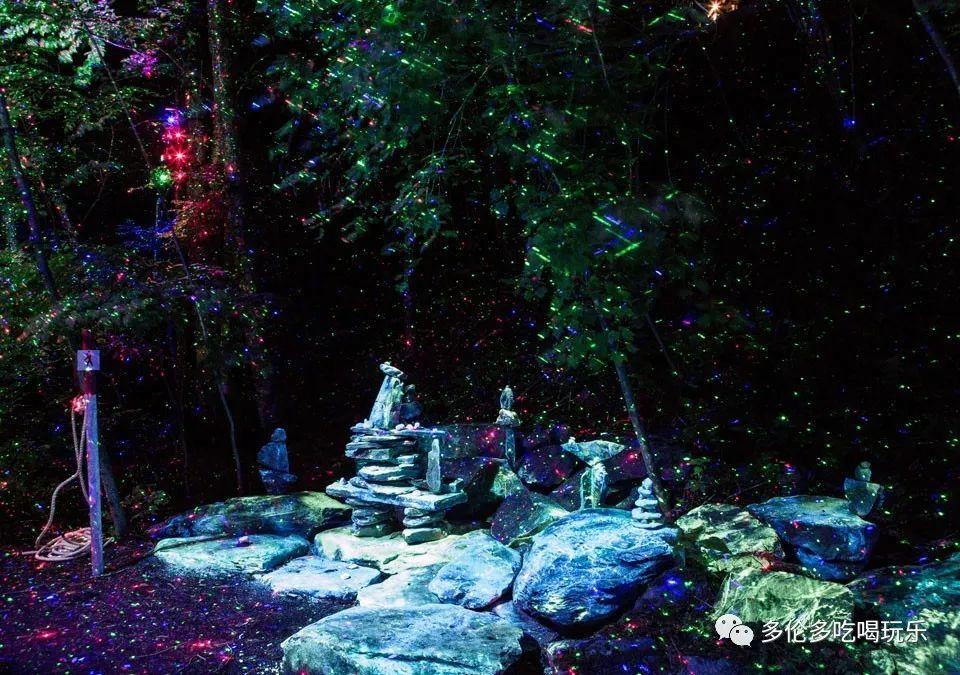 水瓶树生长在水里还是土里？游戏画面